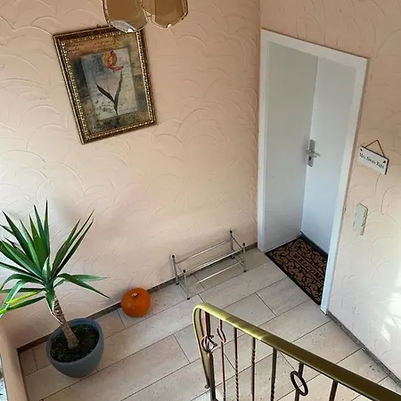 M&m Apartment